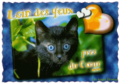 loin dé tx loin du coeur